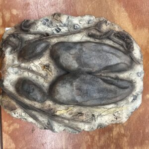 Moose Print Plaque