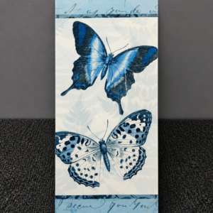 Butterfly Picture