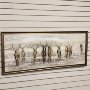 Deer Picture